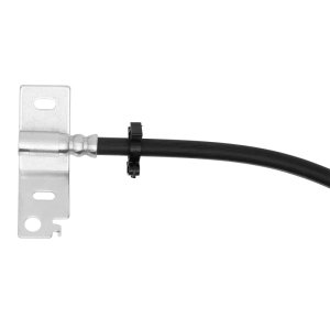 Ford F-150 Brake Hose - Rear - R1 Concepts - `15-`20